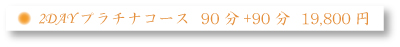 2DAYv`iR[X 90+90 19,800~